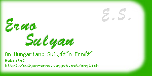 erno sulyan business card